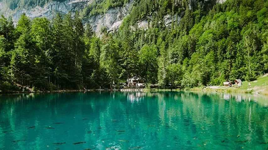 Ocio, tiendas y mucha naturaleza, la increíble postal de Suiza. (Foto: Envato)