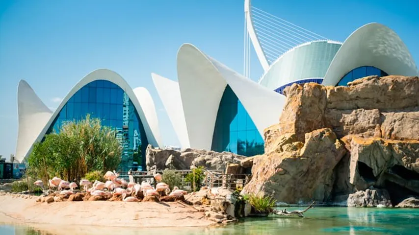 Reapertura de la Ciudad de las Artes y las Ciencias de Valencia. (Foto: Civitatis)