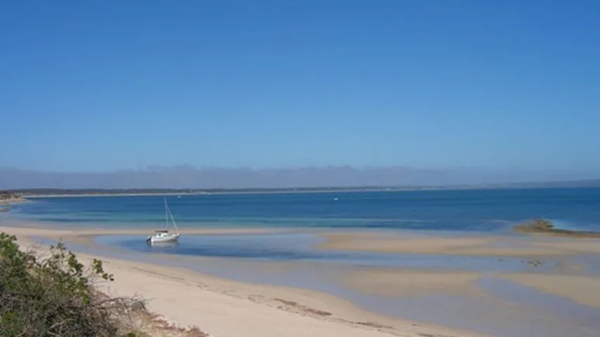 Isla Canguro: un viaje a la biodiversidad australiana, cultura única, y experiencias inolvidables en la naturaleza.