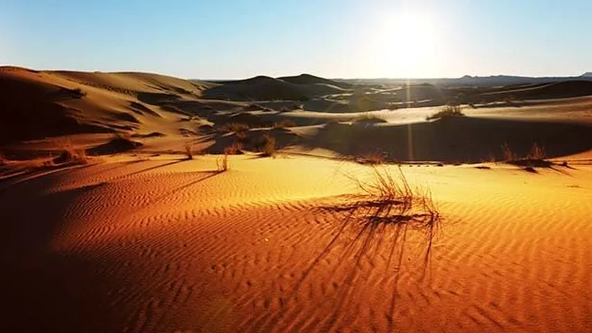 El desierto Antártico, el Ártico o el Sáhara son algunos de ellos. (Foto: Envato)