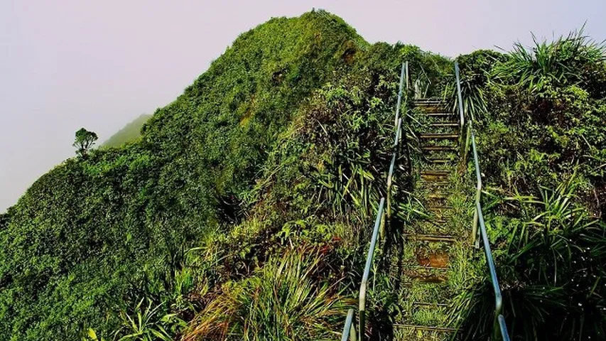 Desde las escaleras de Haiku en Hawai sentirás que subes a la cima del cielo. (Foto: Unsplash)